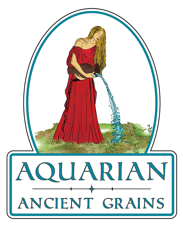 Aquarian Ancient Grains